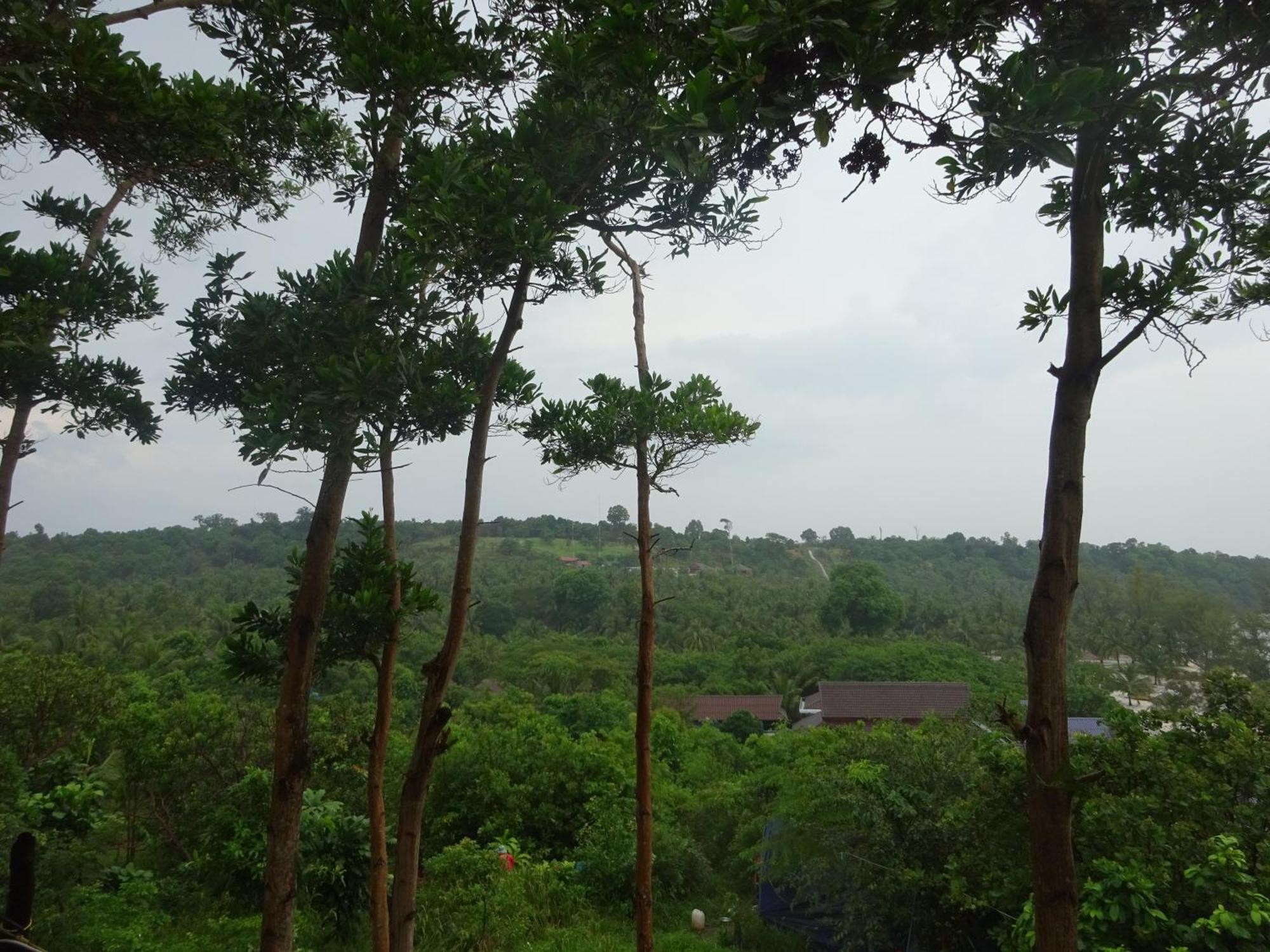 Coconutbeach Bungalows Derm Tkov Village الغرفة الصورة
